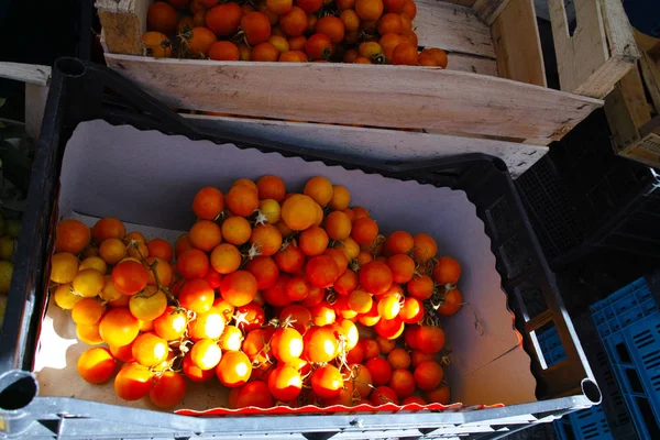 Tomate Amarillo Cereza Mercado —  Fotos de Stock