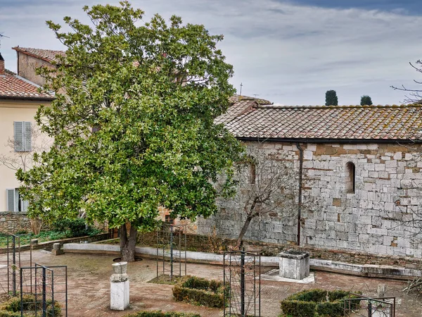 Cormoran Top Tree Massaciuccoli Lake — Stock Photo, Image