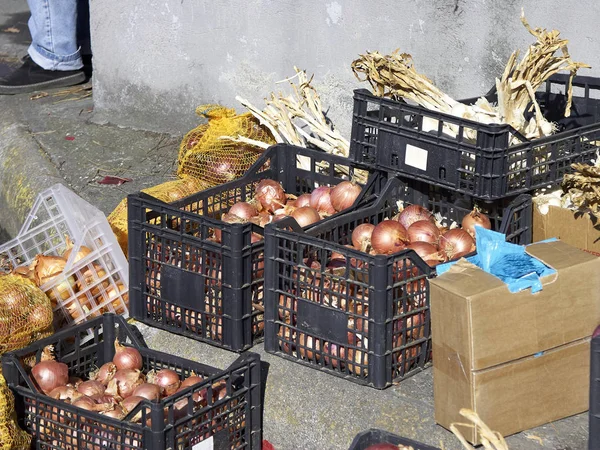 Zwiebeln Auf Einem Ländlichen Markt Einer Schwarzen Plastikbox — Stockfoto