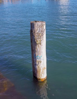 bir gölde ahşap kutup 