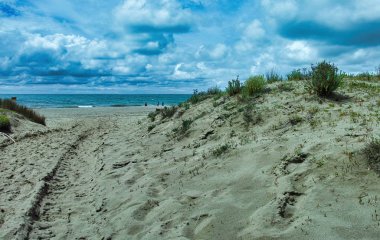 Italyan kumlu plaj Marina di Vecchiano yakınında pitoresk görünümü