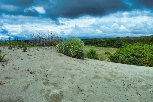 Pittoresca veduta sulla spiaggia di sabbia Marina di Vecchiano vicino — Foto Stock