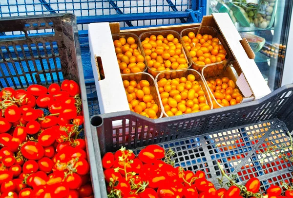 Tomate amarillo y rojo en un mercado —  Fotos de Stock