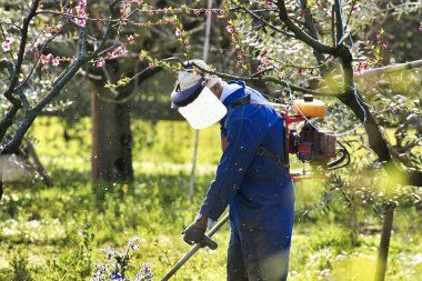 Bahçede çim biçen bir adam