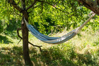 Bahçedeki iki ağaç arasındaki hamak böceği.