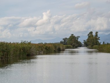 Toskana 'da harika bir köy. Puccini Gölü manzarası, Puccini Kulesi, Toskana, İtalya