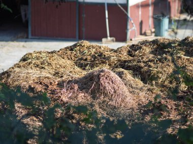 Çayır gübresindeki gübre detayı