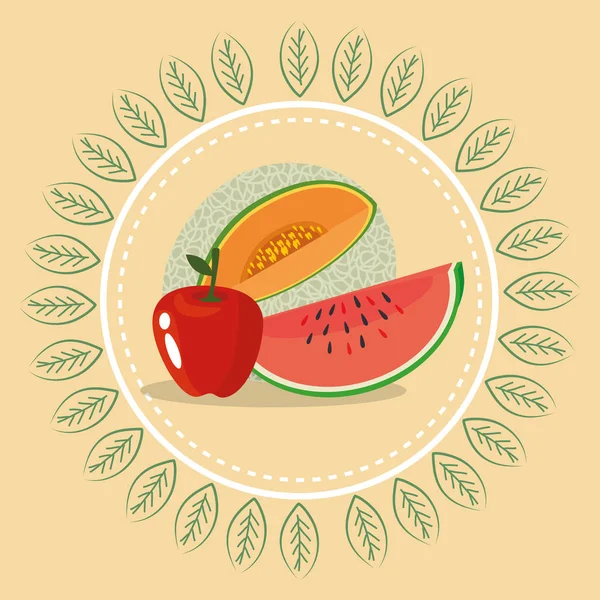 Färsk frukt hälsosam mat — Stock vektor