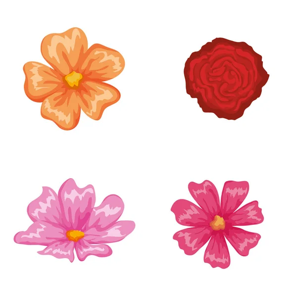 Mooie bloemen instellen decoratieve pictogram — Stockvector