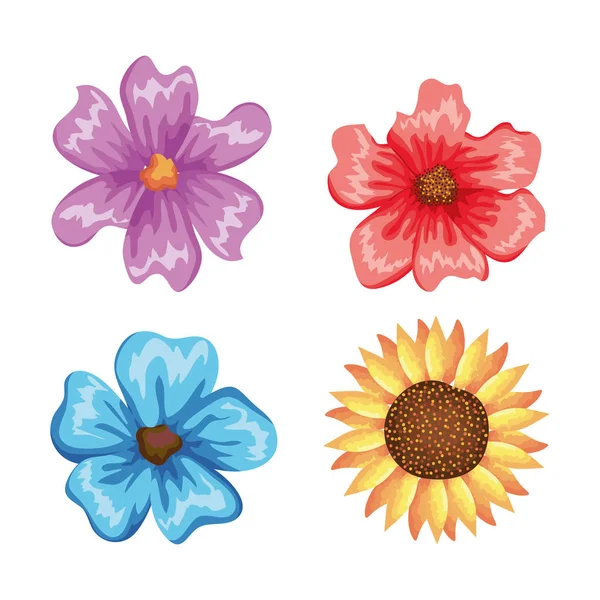 Όμορφα λουλούδια ορίσετε διακοσμητικά εικονίδιο — Διανυσματικό Αρχείο
