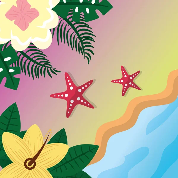 Hora de verano tropical — Vector de stock