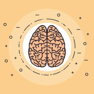 yaratıcı beyin fikir kavramı