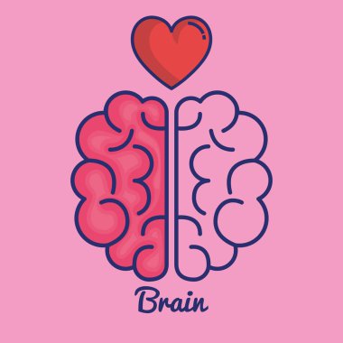 yaratıcı beyin fikir kavramı