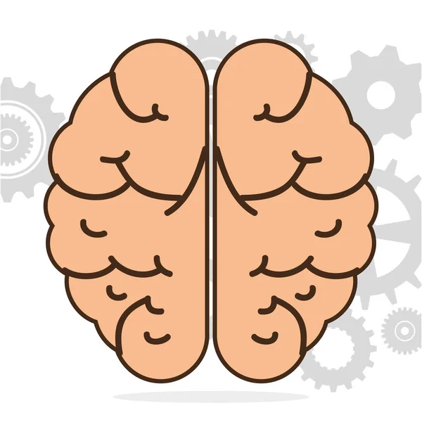Creative brain idea concept — Stock Vector