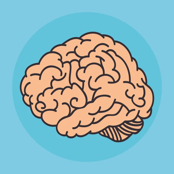 Concepto de idea de cerebro creativo — Vector de stock
