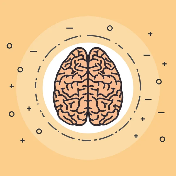 yaratıcı beyin fikir kavramı