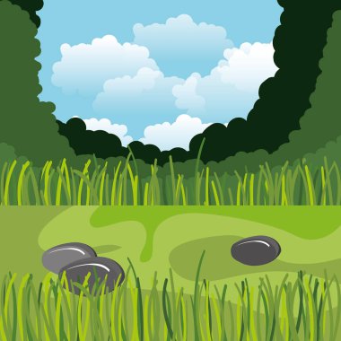 yağmur ormanları orman doğal sahne