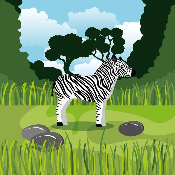 Дика зебра в джунглях сцена — стоковий вектор