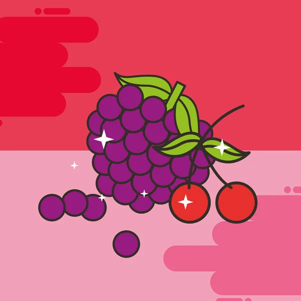 Grappe de raisins et cerises frais délicieux — Image vectorielle