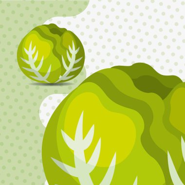 nokta arka plan üzerinde taze sebze marul