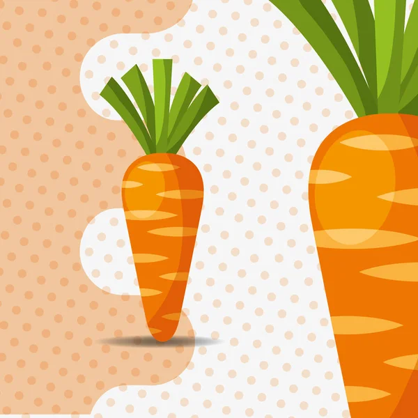Fresh vegetable carrots on dots background — Stock Vector