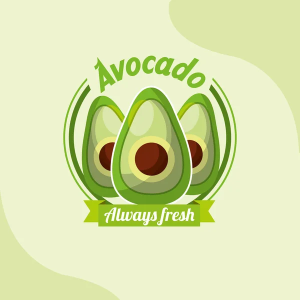 Овощной авокадо всегда свежая эмблема — стоковый вектор