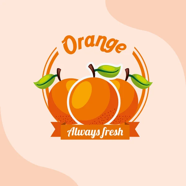 Frutta arancione emblema sempre fresco — Vettoriale Stock