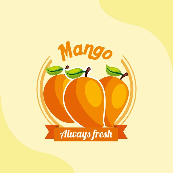 Godło zawsze świeże owoce mango — Wektor stockowy