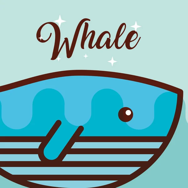 Velryba moře života kreslené — Stockový vektor