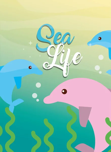 Havet liv cartoon — Stock vektor