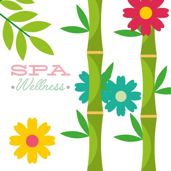 Spa wellness kapcsolatos — Stock Vector