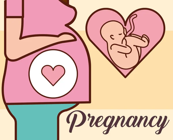 Fecundación durante el embarazo — Vector de stock