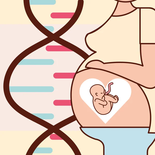 Fécondation de grossesse liée — Image vectorielle