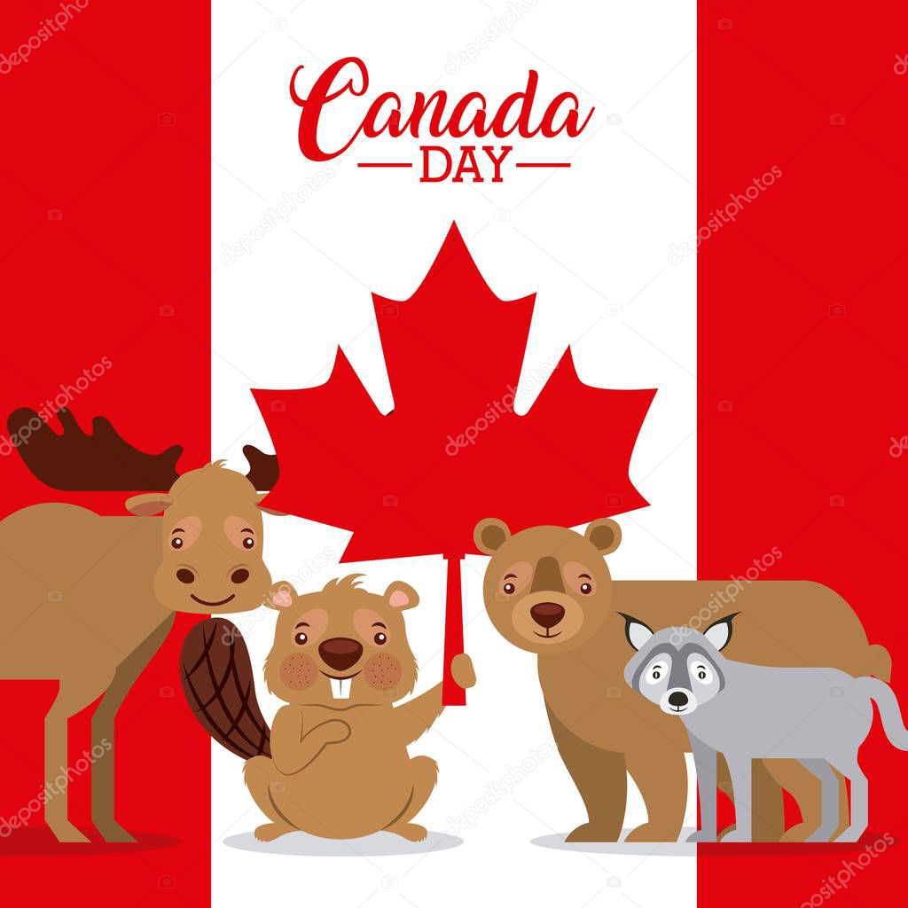 Canada day flag background wolf bear beaver moose vector illustration