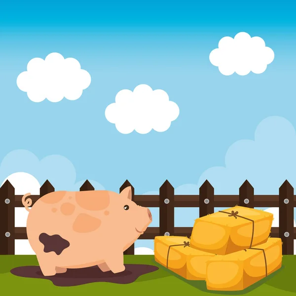 Schweine in der Bauernhofszene — Stockvektor