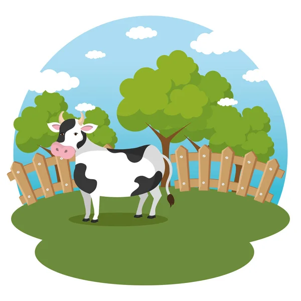 Αγελάδες στην εκμετάλλευση σκηνή — Διανυσματικό Αρχείο