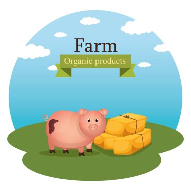 domuz çiftliği sahnesinde