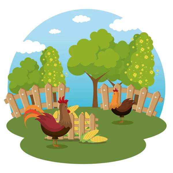 Roosters in the farm scene — Stock Vector