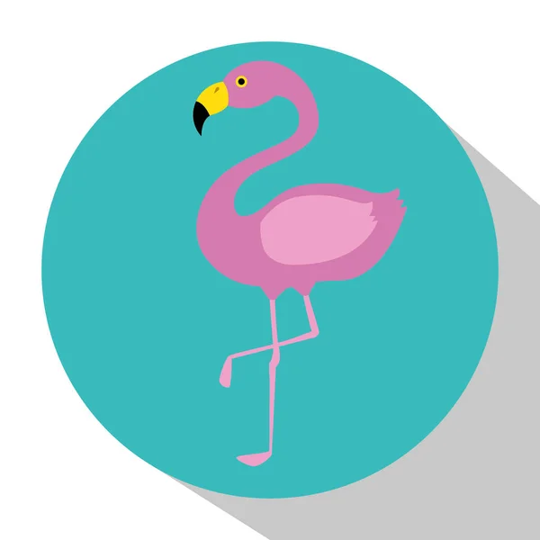 エキゾチックなフラミンゴ鳥 — ストックベクタ