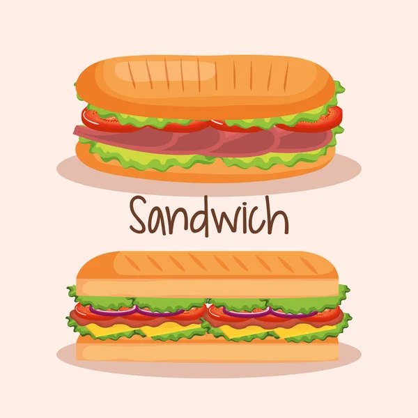 Delicious sandwich fast food — Stock Vector