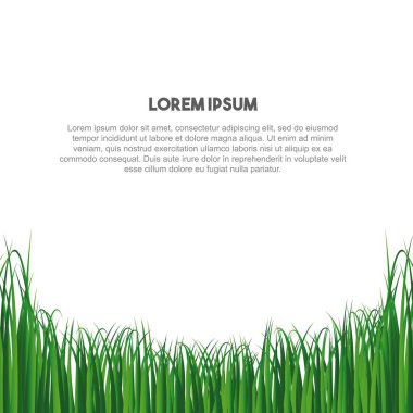 doğa çim alan arka plan