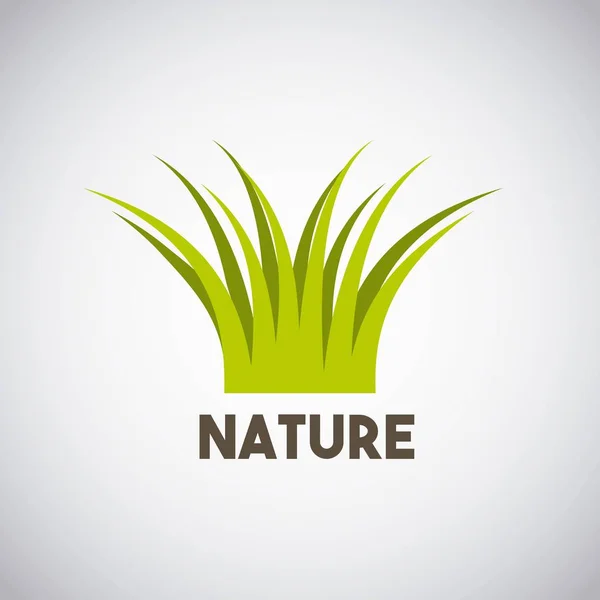 Naturaleza hierba campo fondo — Vector de stock