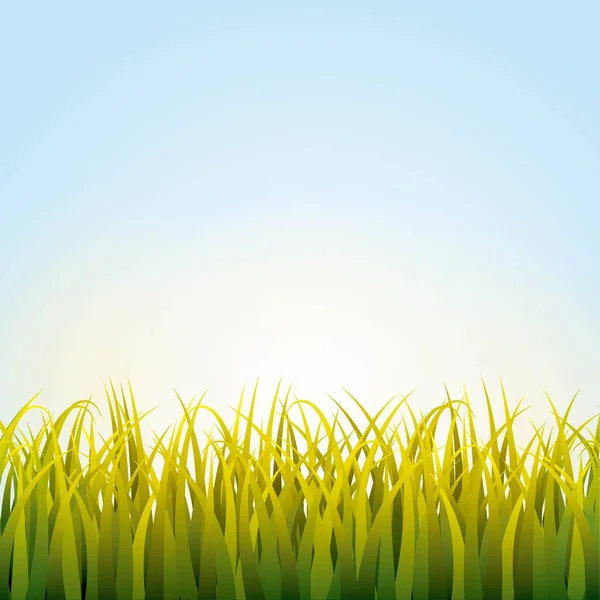 Natura trawa tło pola — Wektor stockowy