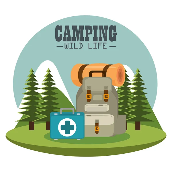 Camping zone with equipment — Stock Vector