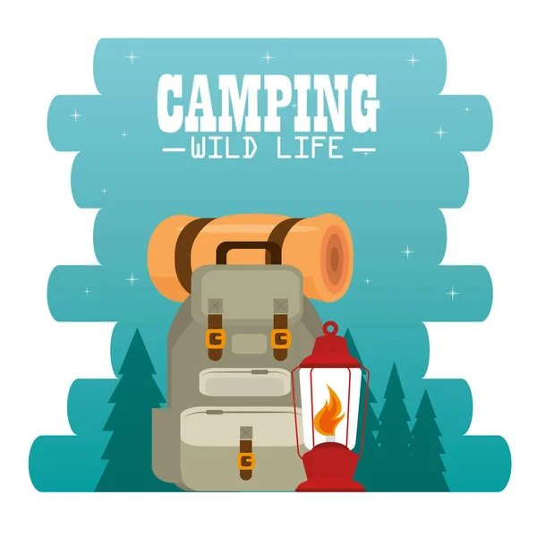 Camping zone with equipment — Stock Vector