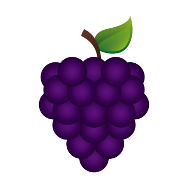 Beyaz arka plan vektör çizim üzerinde meyve tasarım