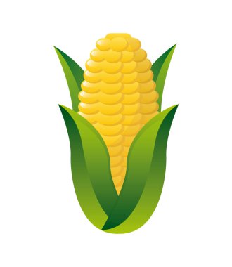 Beyaz arka plan vektör çizim üzerinde organik ürün