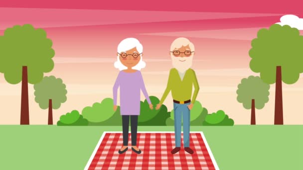 Elderly couple standing on blanket in the park landscape — Stock Video