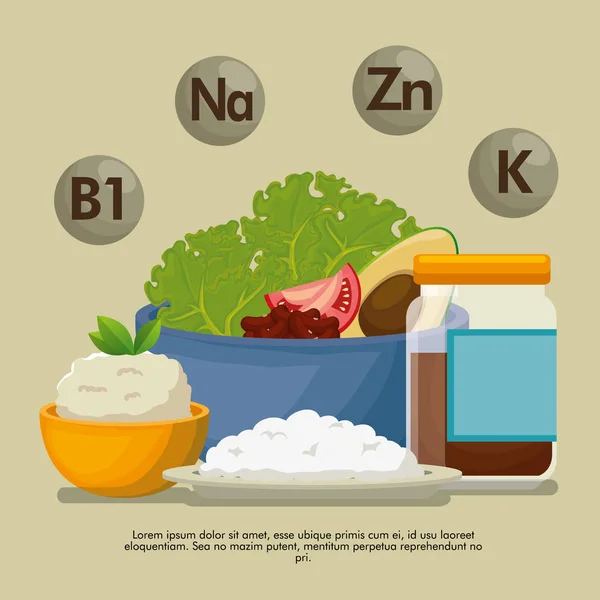 Gesunde Ernährung mit ernährungswissenschaftlichen Fakten — Stockvektor