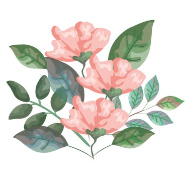 Güzel çiçekler ve yapraklar.